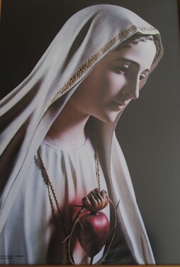 Our Lady of the Immaculate Heart
